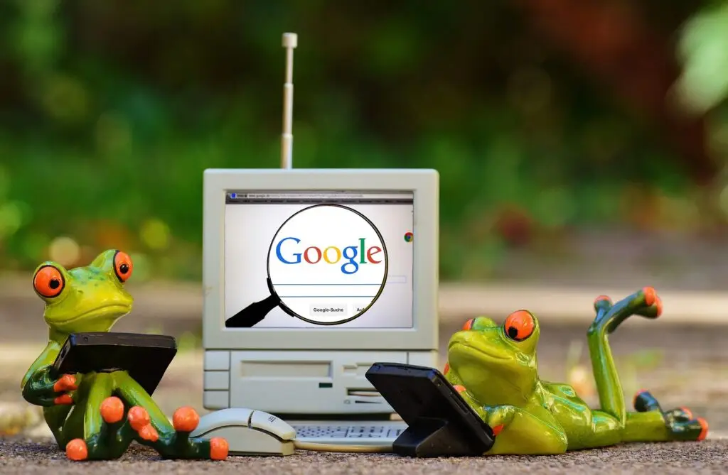 Google frogs